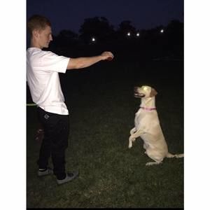 Meet your Posher, Brody